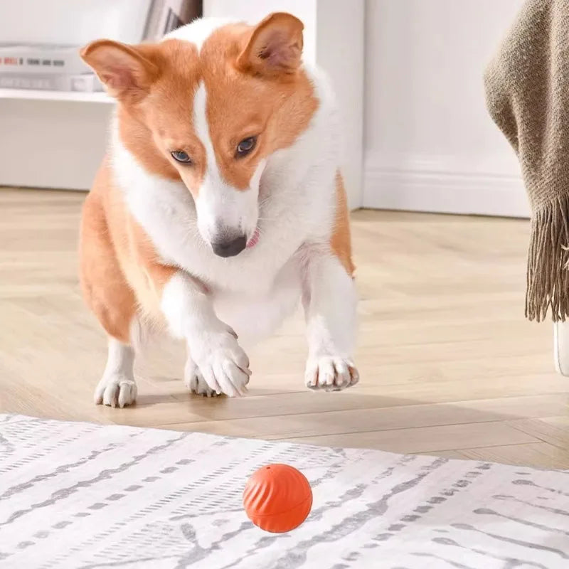 Smart Bouncing Dog Toy Ball