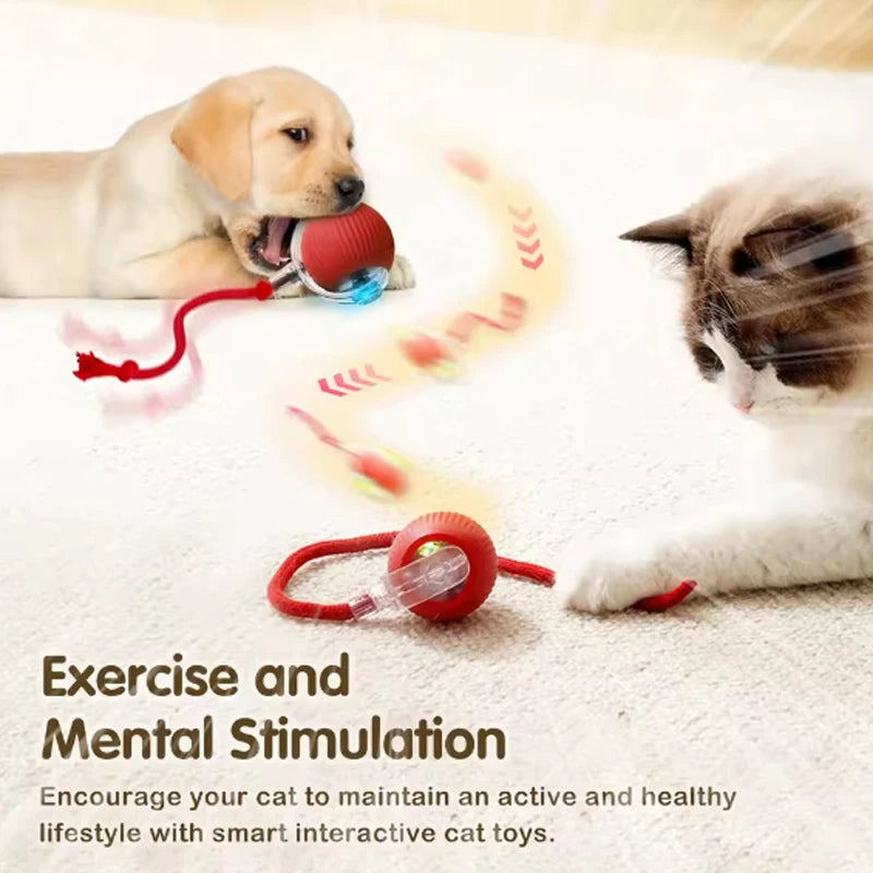 Boredom-Busting Cat Play Ball