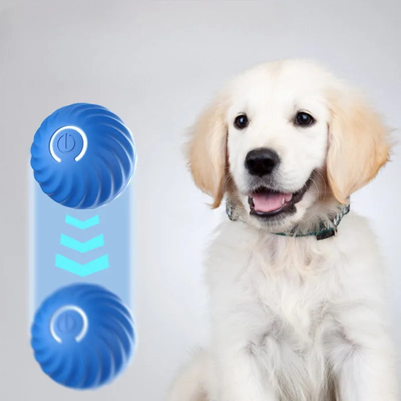 Smart Bouncing Dog Toy Ball