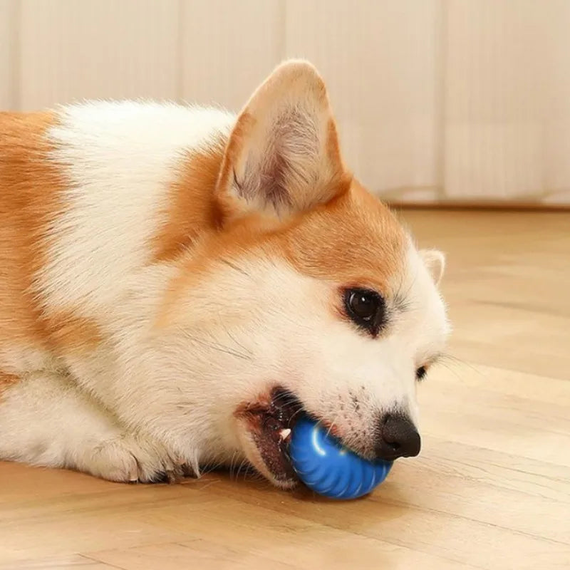 Smart Bouncing Dog Toy Ball