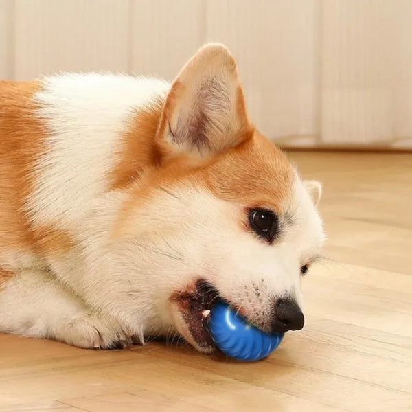 Smart Bouncing Dog Toy Ball
